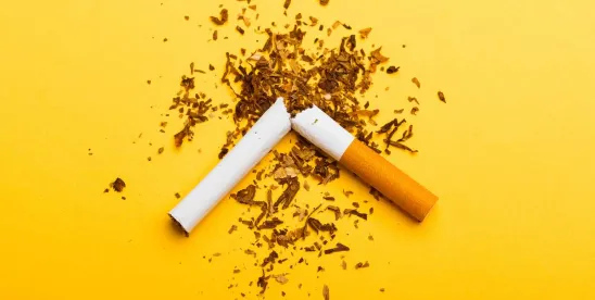 EU Pushes for a Ban on Single-Use Plastics in Tobacco Products at WHO Level