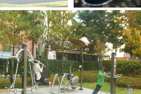 The Science Behind Parks, Pathways, and Public Spaces: Landscape Engineering Explained