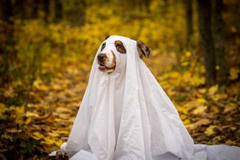 Friday Footnotes: Three-Quarters of Big 4 Firms Upped Their Lobbying Game; KPMG Adds AI to..