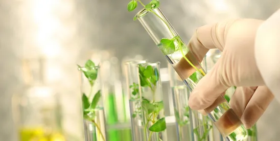 BB-REG-NET Report Finds Biodegradable Plastics Can Mitigate Long-Term Environmental Impacts of..