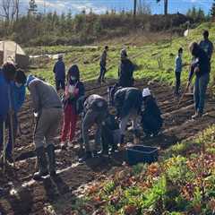 Exploring the Environmental Groups in Multnomah County, Oregon: A Closer Look