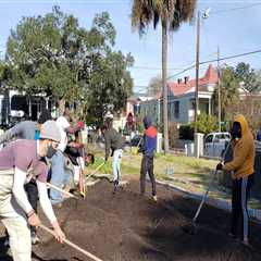 The Power of Community Projects in Promoting Sustainability and Environmental Responsibility in..