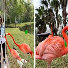 Exploring Tax Policies for Recreational Activities in Sarasota County, Florida