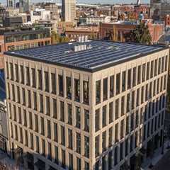 Optimizing Space: Maximize Your Project's Potential With Strategic Tree Removal Service For Better..