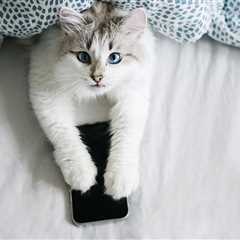 Monday Morning Accounting News Brief: Nevada Debates Going Ham on the Film Tax Credits; Who All Got ..