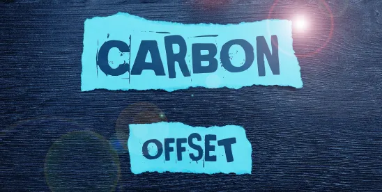 ECHR Climate Decision- Five Key Takeaways for Companies