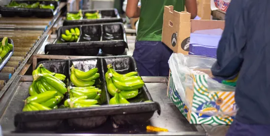 Non-GMO Project Releases “Non-UPF Verified Standard”