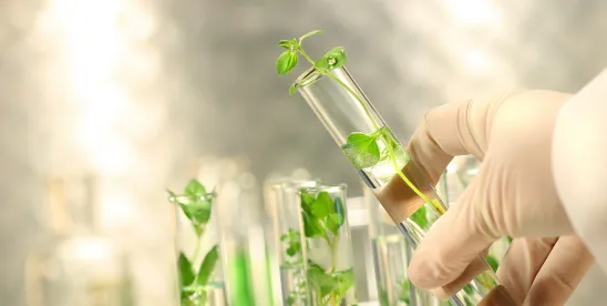 Bicameral, Bipartisan Bill Would Strengthen U.S. Biopharmaceutical Manufacturing