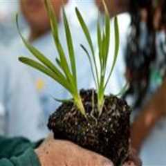 The Impact of Nonprofit Organizations on Environmental Concerns in Sangamon County, Illinois