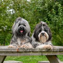 Friday Footnotes: Deloitte Busted Using AI in Expensive Reports Again?; For the Last Time,..