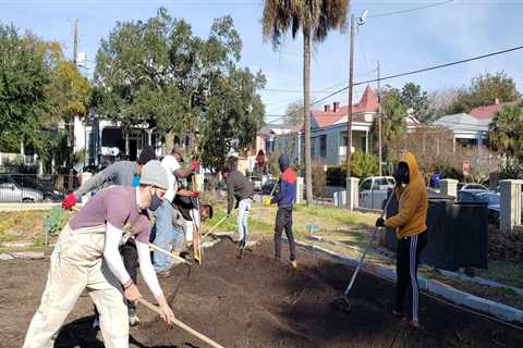 The Power of Community Projects in Promoting Sustainability and Environmental Responsibility in..