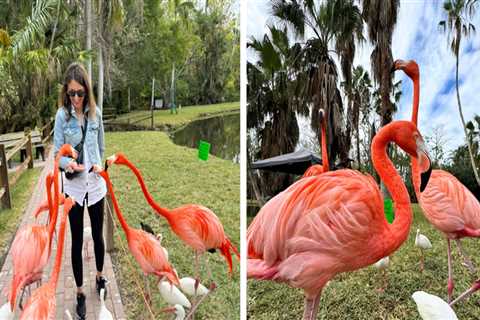 Exploring Tax Policies for Recreational Activities in Sarasota County, Florida