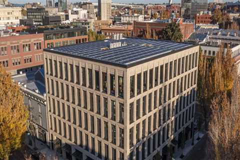 Optimizing Space: Maximize Your Project's Potential With Strategic Tree Removal Service For Better..