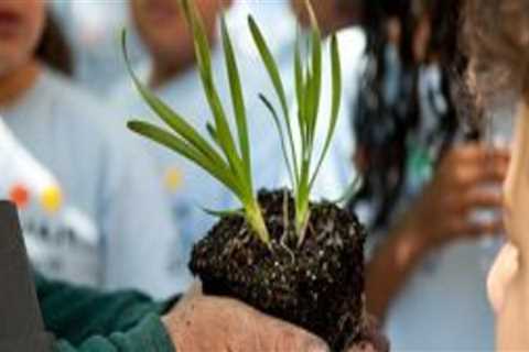 The Impact of Nonprofit Organizations on Environmental Concerns in Sangamon County, Illinois