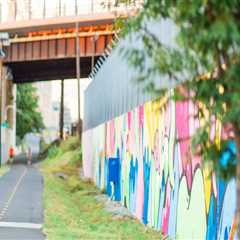 The Resilience of Nonprofit Groups in Central Virginia During COVID-19