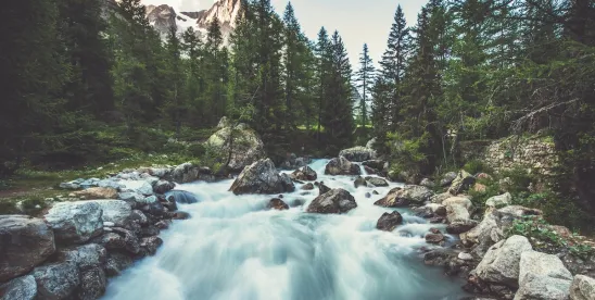 EPA and Army Corps Release Proposed Rule Significantly Narrowing Federal “Waters of the United..