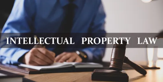 Intellectual Property 2025 Year in Review