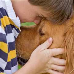 A Comprehensive Guide to Surrendering Your Pet to Care Organizations in Western Washington