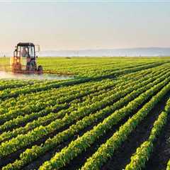 Exploring Seasonal and Temporary Employment Opportunities in Northwest Florida