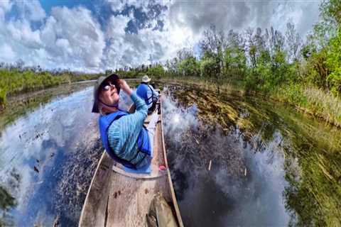 The Importance of Ecotourism in Preserving Southwest Florida's Natural Beauty