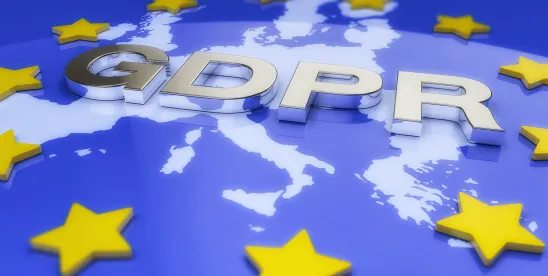 Making Sense of the GDPR