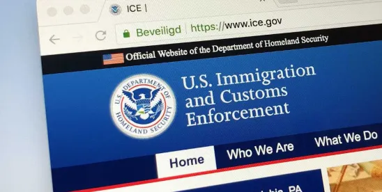 ICE Enforcement Risks for International Students During Holiday Travel