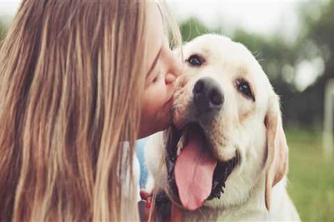 Comprehensive Guide to Pet Care Organizations' Hours of Operation in Western Washington