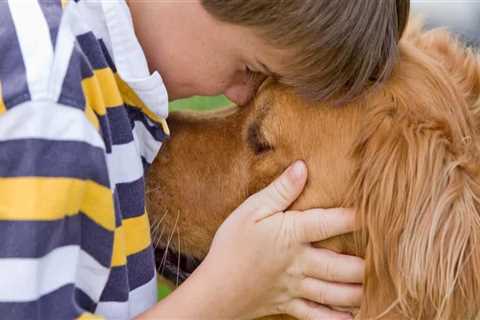 A Comprehensive Guide to Surrendering Your Pet to Care Organizations in Western Washington