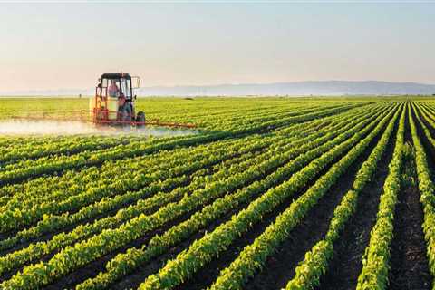 Exploring Seasonal and Temporary Employment Opportunities in Northwest Florida