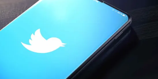 Taking Flight on Another’s Wings — the Potential Abandonment of Twitter’s Iconic Trademarks