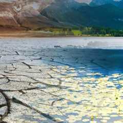 Why Landscape Engineering Matters More in Drought-Prone Regions