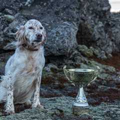 Friday Footnotes: The World Discovers Sexy Accountants Do Exist; Ex-IRS Employee Did Something..