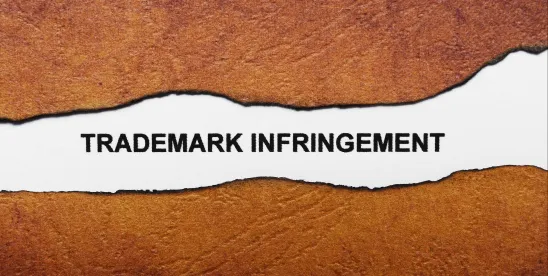 When a Name Becomes a Mirage- The CJEU on Designer Surnames as Trade Marks