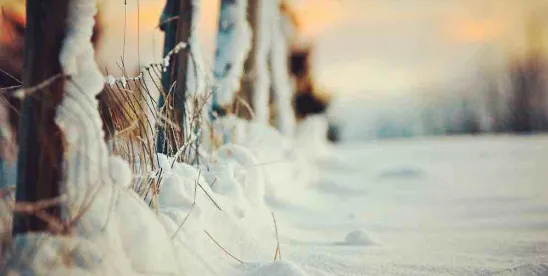 FCC Activates Disaster Reporting for Winter Storm Fern