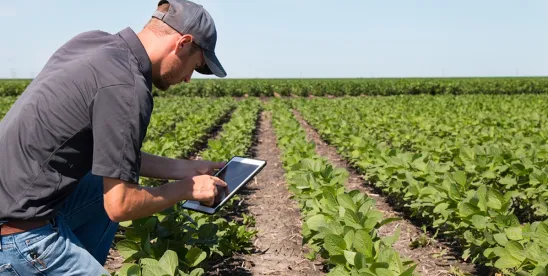 USDA Will Update BioPreferred Program “to Put American Producers First”