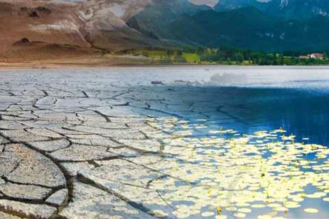 Why Landscape Engineering Matters More in Drought-Prone Regions