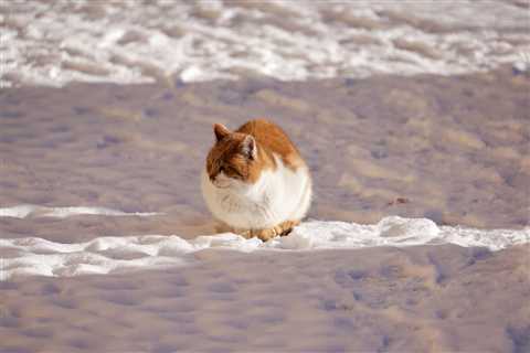 Friday Footnotes: Deloitte to Hire 50,000 More Indians; Regulator Accuses EY and PwC Execs, Two..