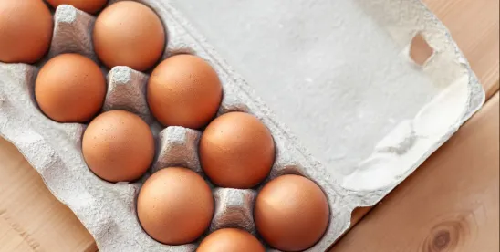 DOJ Sues Michigan Over Cage-Free Egg Law