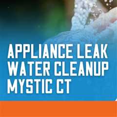 Appliance leak water cleanup Mystic CT