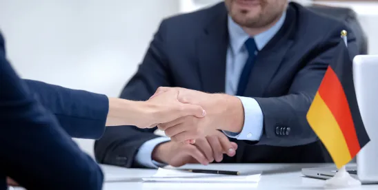 EB-2 NIW Case Study: German Business Consultant Advancing U.S. Foreign Direct Investment