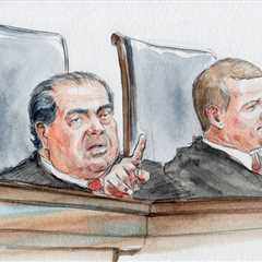 Announcement of opinions for Tuesday, February 24