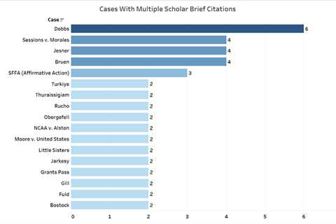How academic briefs shape Supreme Court decisions