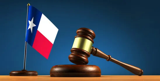The Texas Legal and Regulatory Landscape for Data Center Development