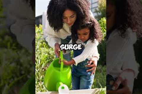 top 10 trends in hedge funds for 2024 #startup #shorts #viral #trending #business #top10