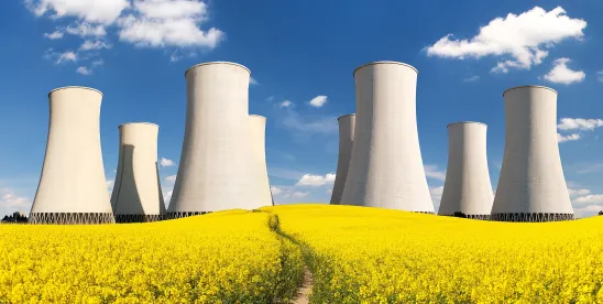 From Patchwork to Framework- NRC Moves to Standardize U.S. Fusion Regulations