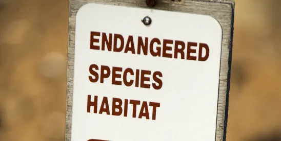 Interior Department Convenes Rare Endangered Species ‘God Squad’ Committee Meeting on Gulf Oil and..