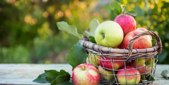 100% Apple Juice Lawsuit Moves Forward