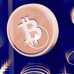 A Bitcoin Evangelist Tries to Convert Me