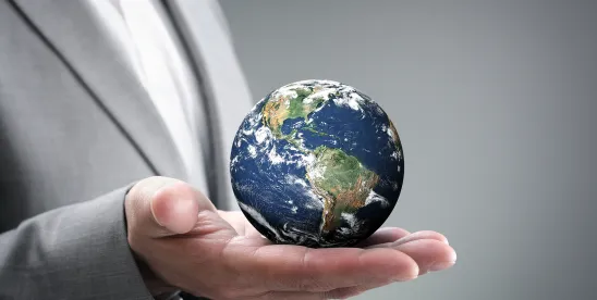 Risk #4- Five Guidelines for ESG Disclosures in 2026- Choose Your Words Carefully