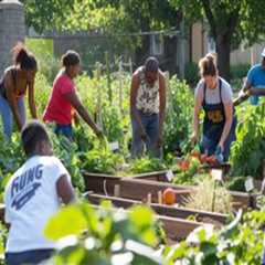 Working Together: Community Efforts Supporting Essential Services